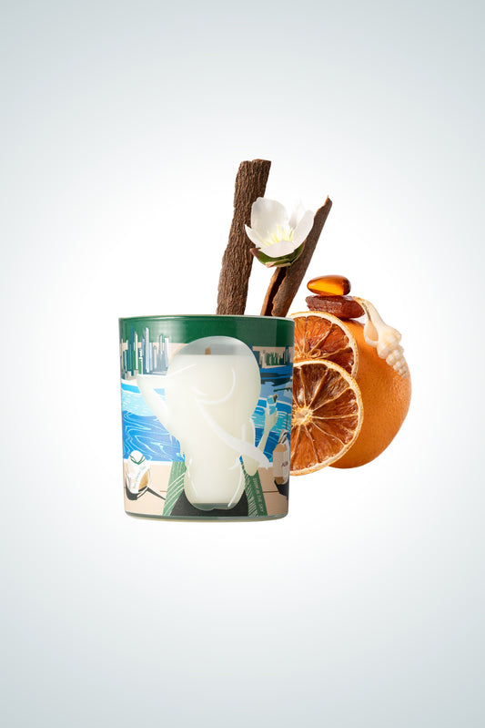 Find Your Aura Candle - Amber, Spicy & Marine